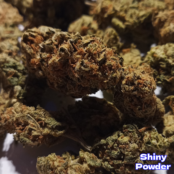 Amnesia Haze – Premium Sativa Strain – 22% THC - Image 2