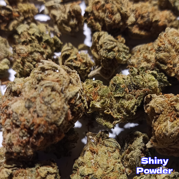 Amnesia Haze – Premium Sativa Strain – 22% THC - Image 3